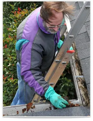 Clean gutters and downspouts to avoid overflow and basement flooding.